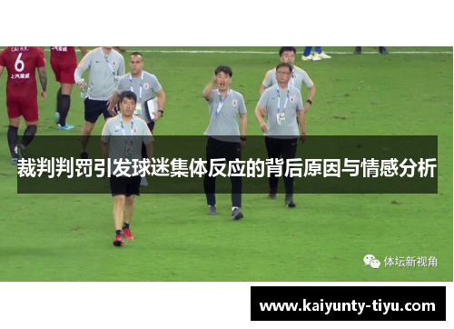 裁判判罚引发球迷集体反应的背后原因与情感分析
