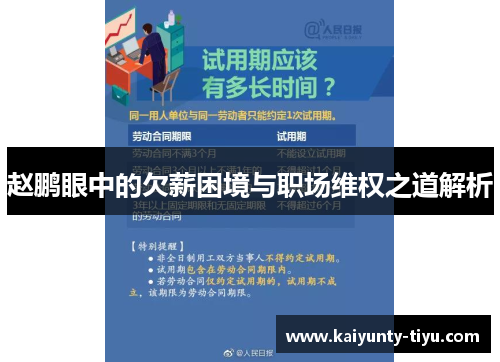 赵鹏眼中的欠薪困境与职场维权之道解析