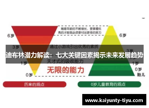 迪布林潜力解读：七大关键因素揭示未来发展趋势