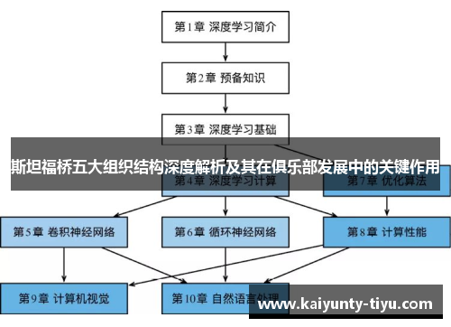 斯坦福桥五大组织结构深度解析及其在俱乐部发展中的关键作用