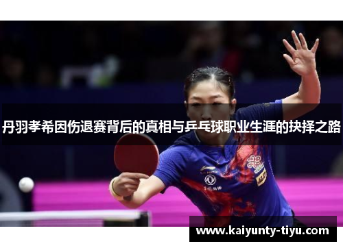 丹羽孝希因伤退赛背后的真相与乒乓球职业生涯的抉择之路